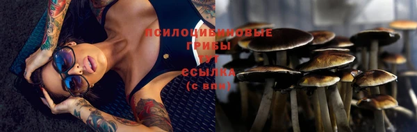 Альфа ПВП Покачи