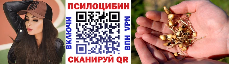 Псилоцибиновые грибы Cubensis  Томмот 